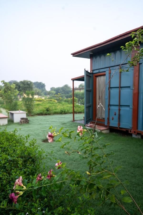 Tree Of Life Ecotainers Agra Hotell Agra  Eksteriør bilde