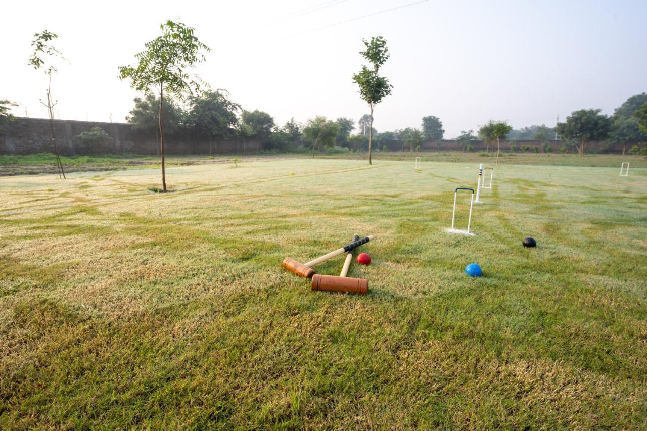 Tree Of Life Ecotainers Agra Hotell Agra  Eksteriør bilde