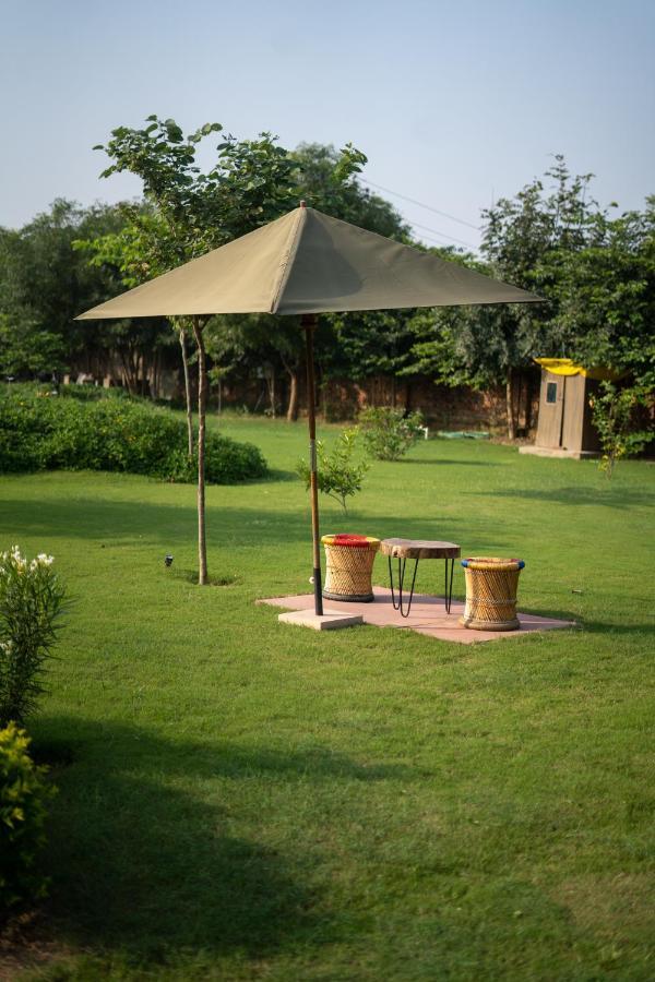 Tree Of Life Ecotainers Agra Hotell Agra  Eksteriør bilde